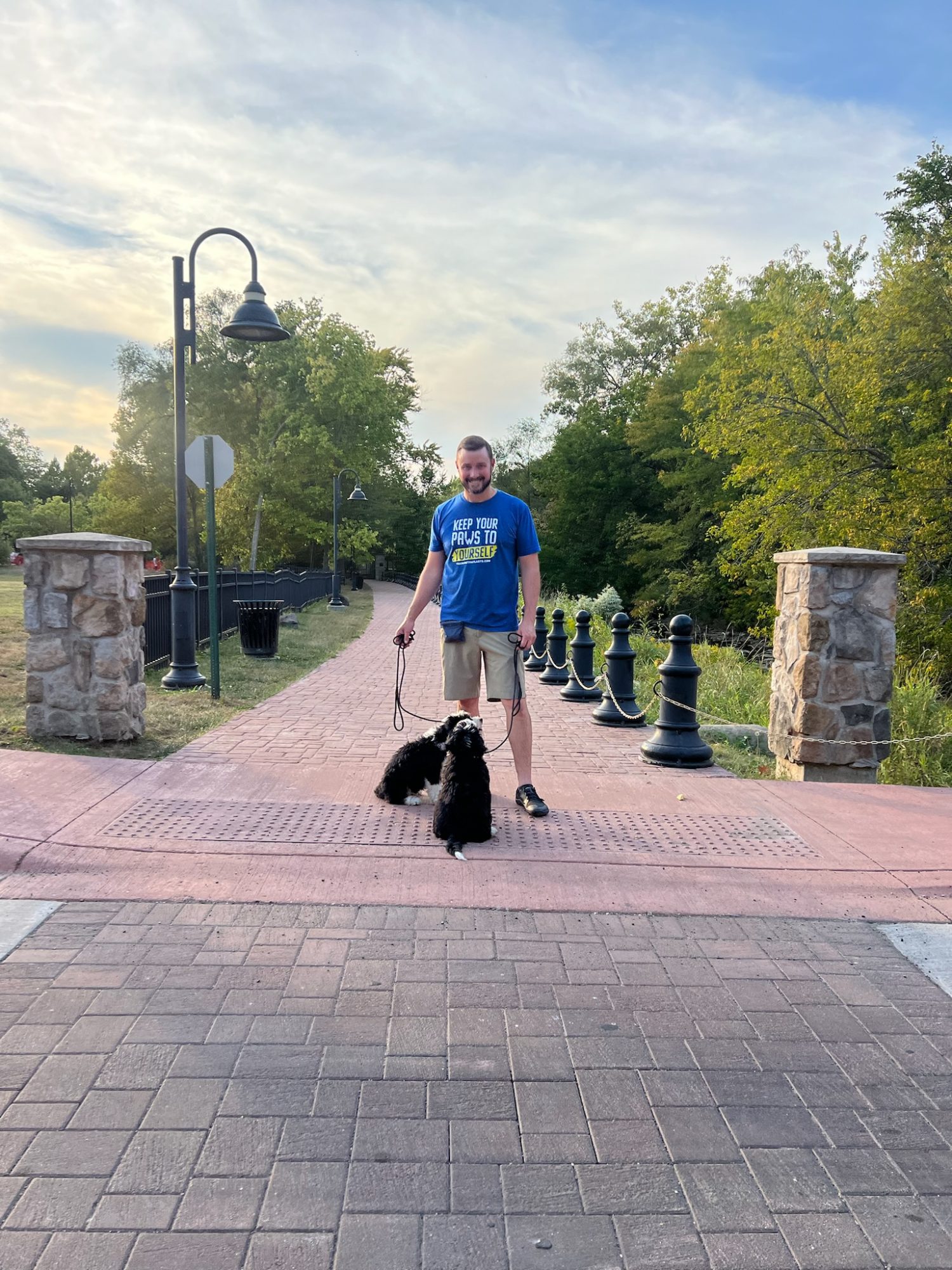 Dog Trainer Tyler Morrick of Training That Lasts with Bernedoodle puppies on a structured walk.