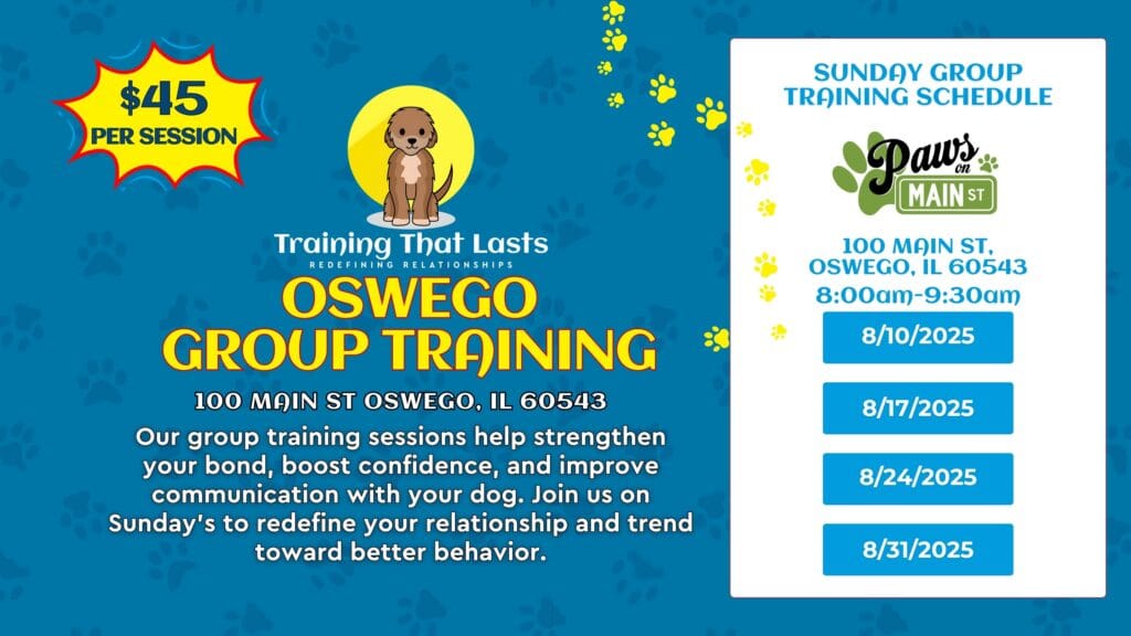 Group Dog Training | Oswego, Il | August 24Th - Oswego Group Dog Training