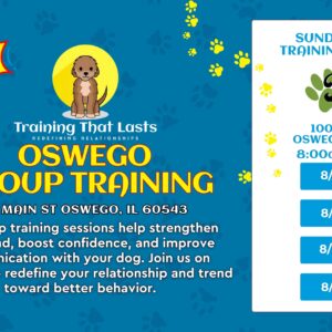 Oswego Group Dog Training