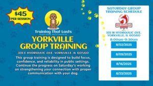 Training That Lasts
