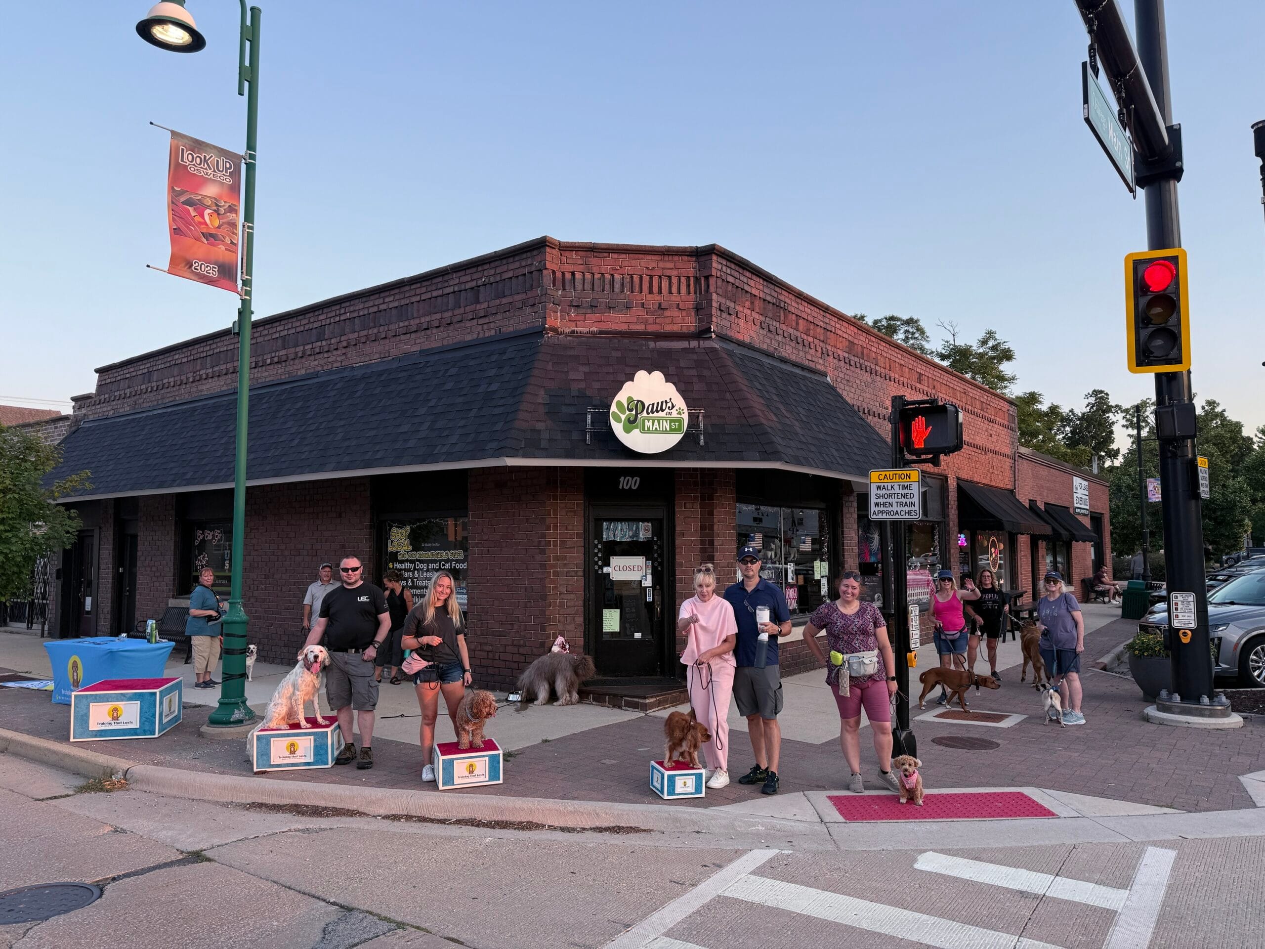 Wednesday Group Pack Walks In Oswego Illinois Starting At Paws On Main With Training That Lasts.